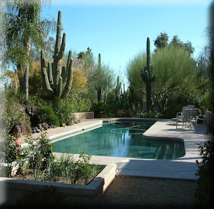Pool Area Plantings